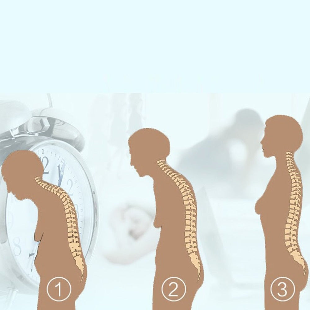 The AlignPro Posture Support System