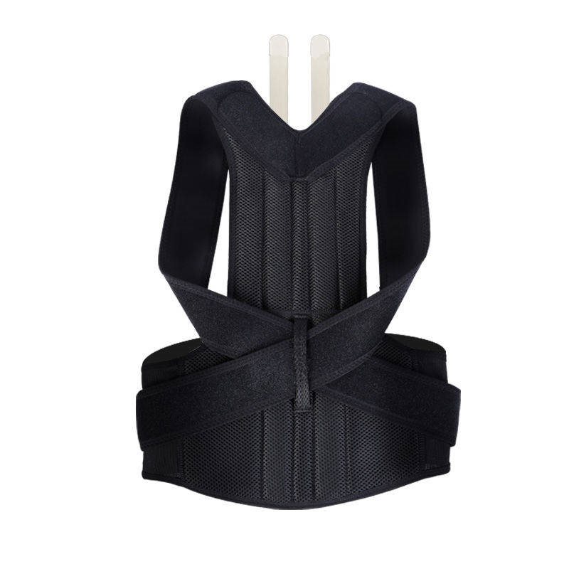 The AlignPro Posture Support System