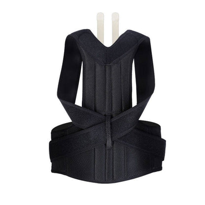 The AlignPro Posture Support System