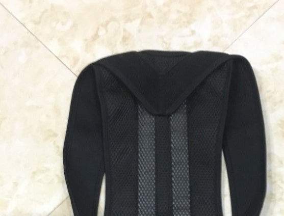 The AlignPro Posture Support System
